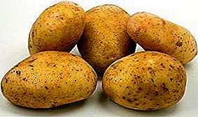 Новітній картопля «Гренада»: опис сорту, фото і правила вирощування