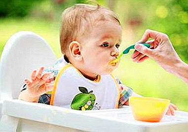 الفروق الدقيقة في النظام الغذائي للأطفال: من أي عمر يمكنك أن تأكل حميض؟ نصيحة عملية لأولياء الأمور