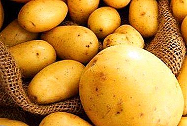 Russified Španec: v kateri državi so začeli pridelovati krompir?