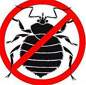 Oversikt over moderne insektmidler: det beste middel til bedbugs hjemme