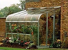 Single wall greenhouse: how to attach to the house with your own hands?