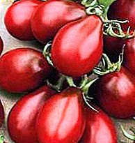 Опис переваг і недоліків, все характеристики сорту томату «Чорна груша»