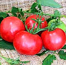 Descripción y características de la variedad híbrida de tomate "Liana Pink" resistente a las enfermedades.