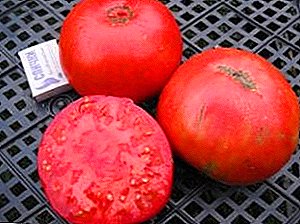 وصف مجموعة متنوعة من الطماطم "الحجم الصحيح" ، زراعة والمزايا الرئيسية