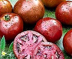 Variedad de azúcar moreno original - Tomates con frutas oscuras