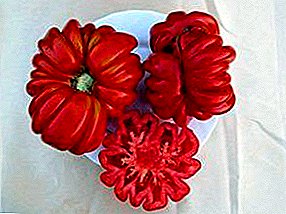 الطماطم الأصلية "لورين الجمال": وصف متنوعة ، الصورة