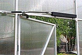 Equipo del invernadero para ventilación natural regulado por la máquina automática (diseño del sistema, mecanismos de apertura).