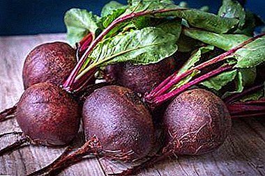 The main reasons why a person wants beets are alarming signals to the body.