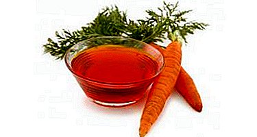 The main properties of carrot seed oil and the rules of application for various purposes