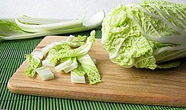 Kenmerken koken Beijing kool: hoe goed snijden voor salades en andere gerechten?