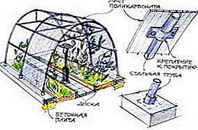 Features of creating greenhouse from polycarbonate do-it-yourself: create a drawing, photo examples