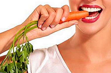 Características de comer zanahorias para la HB. Beneficios y perjuicios, se permiten recetas de platos de joven madre.