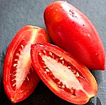 ميزات الزراعة ، ووصف ، واستخدام أصناف الطماطم "جليد أحمر"