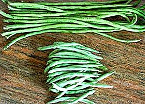 Egenskaber ved voksende aspargesbønner