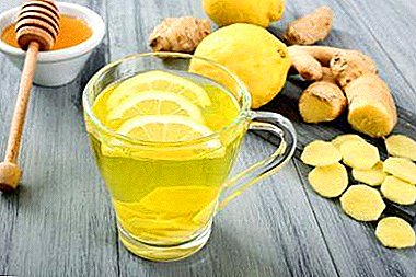 圧力や他の病気からニンニクと生姜の混合物を助けるでしょう！レモン、はちみつ、りんご酢のレシピ