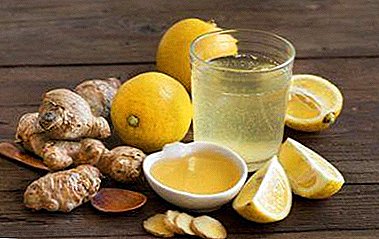 What problems does ginger with lemon help to get rid of and what is useful? Step-by-step recipes