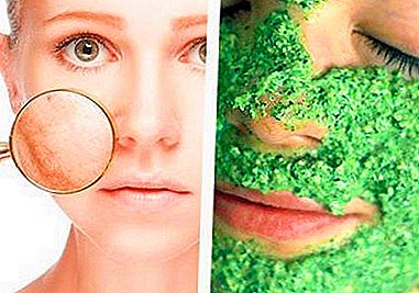 הלבנה מסכות של פטרוזיליה וטוניקות מן המיץ של ירוק על הפנים: איך לבשל וליישם את כתמי פיגמנט?