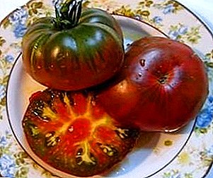 Olağandışı bir renklendirme ile mükemmel masa çeşitliliği, domates - domates "Çingene"