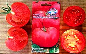 مناسب تمامًا للبيوت المحمية والدفيئات الزراعية والأرض المفتوحة ، الطماطم المتنوعة "Raspberry Poppy": الوصف والصورة