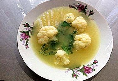 Lick your fingers - delicious soup with cauliflower and chicken! Cooking recipes