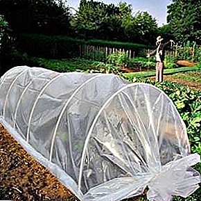 Hotbed "Accordion" - design features of greenhouses from agrospan