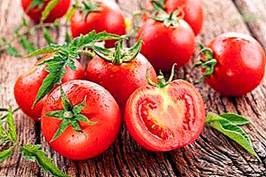 Why is the right choice important and which tomatoes are better to plant in order to get a bountiful harvest of tasty tomatoes?