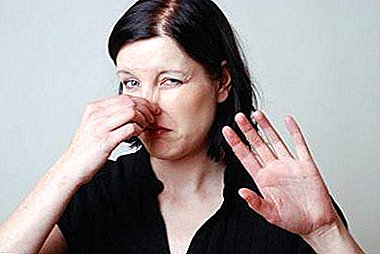 Dlaczego zapach czosnku pochodzi z: wydzieliny z kobiet, z ust, z potu, ciała lub moczu? Czy to niebezpieczne i jak czyścić?