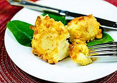A selection of the most delicious recipes and subtleties of cooking cauliflower in batter in the pan