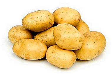 Mi pristupamo krompiru koji raste mudro: savjete o tome kako dobiti dobar usjev bez plijevljenja i hillinga