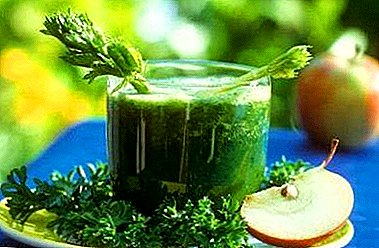 Is parsley juice good or bad? Step-by-step instructions: how to prepare and take money and from what help?