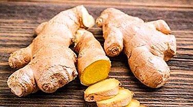 Is ginger good for weight loss and what exactly? Are there any analogues for burning fat?
