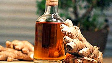 Is ginger tincture good or bad for moonshine? Home cooking recipes