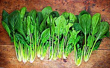 Useful analogues - how to replace spinach?