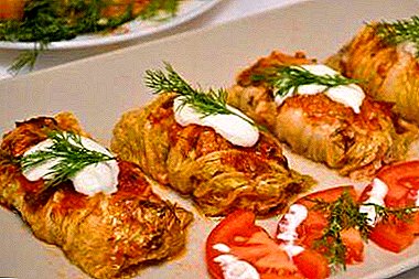 Useful and tasty cabbage rolls from Peking cabbage. Photo of dishes and recipe preparation step by step