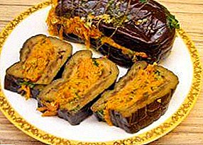 Useful recipes blanks for the winter: pickled eggplants stuffed with carrots, garlic and other vegetables