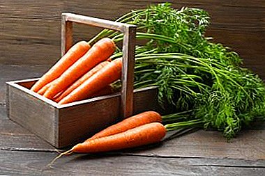 Useful properties of carrot tops and its application