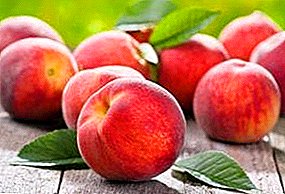 Useful properties of the peach and significant points in its landing