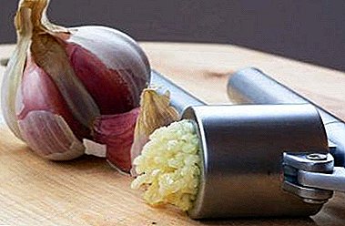 Is it good to breathe garlic, and what diseases will relieve such inhalations?