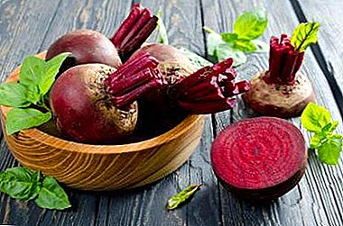 Is it helpful to eat beets during pregnancy? Cooking recipes