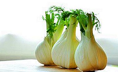 Is the use of fennel useful for nursing moms, including drinking in the form of tea? Recommendations for use