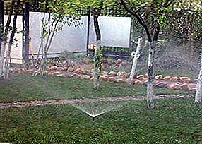 De tuin water geven: hoe de vruchtentuin water geven