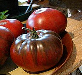 Tomat bergaris "Semangka": deskripsi, ciri khas varietas dan foto yang unik