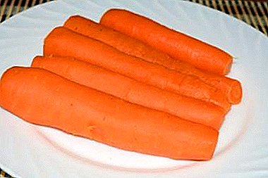 Ползи и възможни вреди сварени моркови. Как да се използва за лечение и в козметологията?