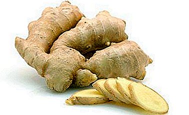 The benefits and harm of natural products. The chemical composition of ginger: how many calories, BJU and vitamins are contained in spices?