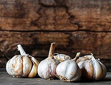 The benefits and harms of garlic in liver diseases