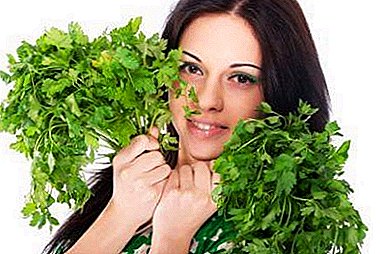 The benefits and harm of parsley for the skin around the eyes. Folk recipes masks and compresses