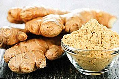 The benefits of dry ginger and contraindications, the best recipes for weight loss