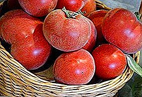 Домат и праскова в една бутилка! Описание на подвид на домати: жълто, червено и розово F1