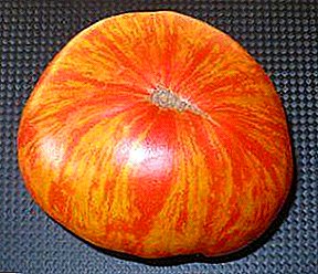 Tomater med ekstraordinær fargestoffer, opprinnelig fra USA - "The King of Beauty" - beskrivelse av rekke tomater