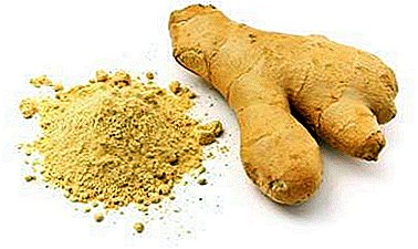 A popular fat burning product is ginger. What and how to cook it for weight loss?
